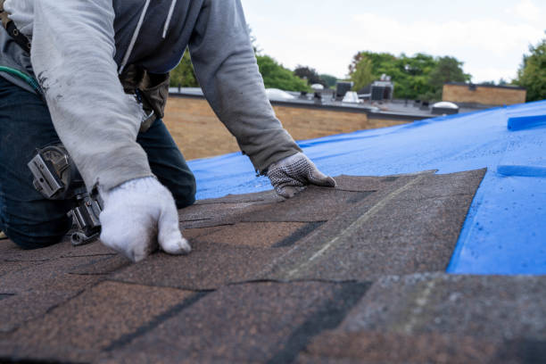Best Commercial Roofing Services  in Lake Waynoka, OH