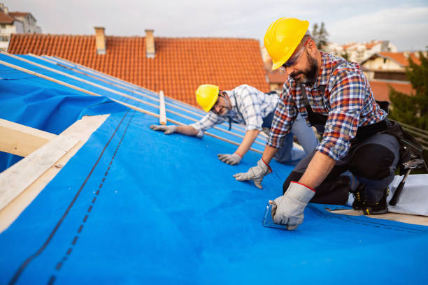 Best Gutter Installation and Roofing  in Lake Waynoka, OH
