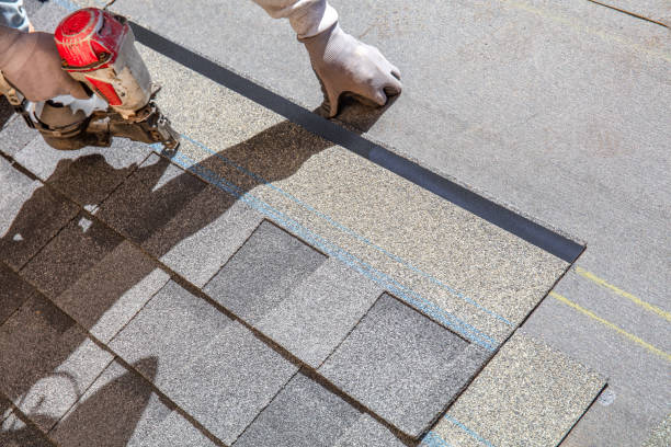 Best Roof Repair Services  in Lake Waynoka, OH